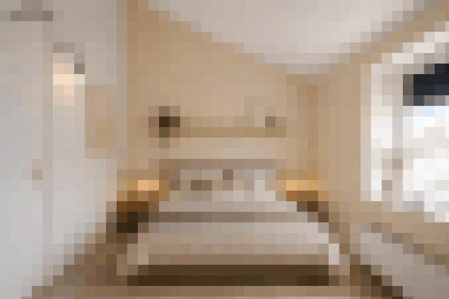 Heiligeweg 137 Krommenie thumbnail 21