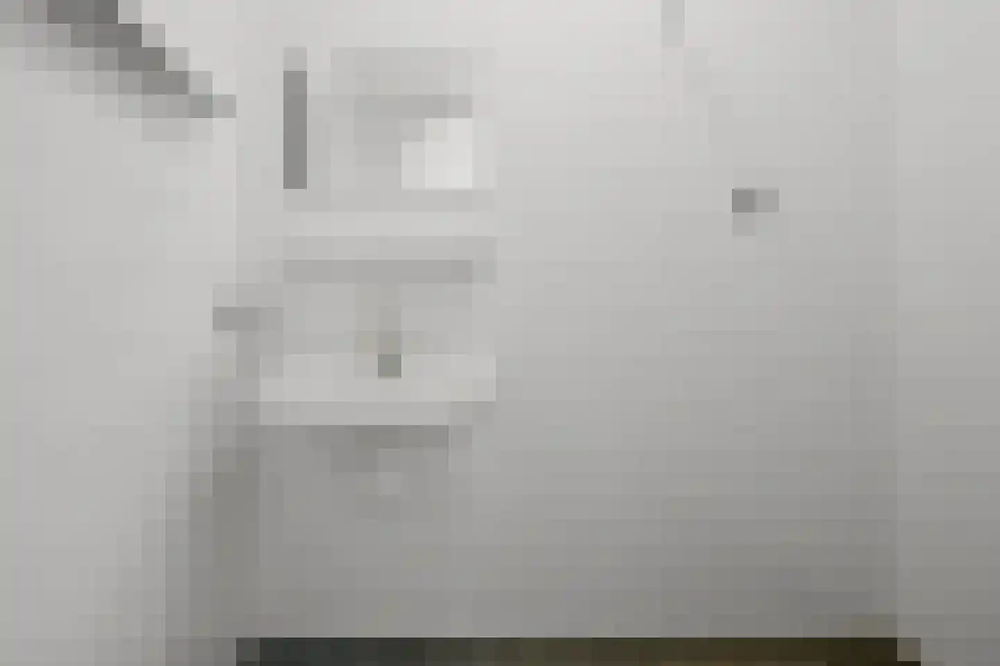 Heiligeweg 137 Krommenie thumbnail 29