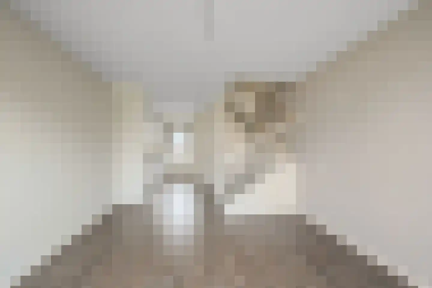 Heiligeweg 137 Krommenie thumbnail 9