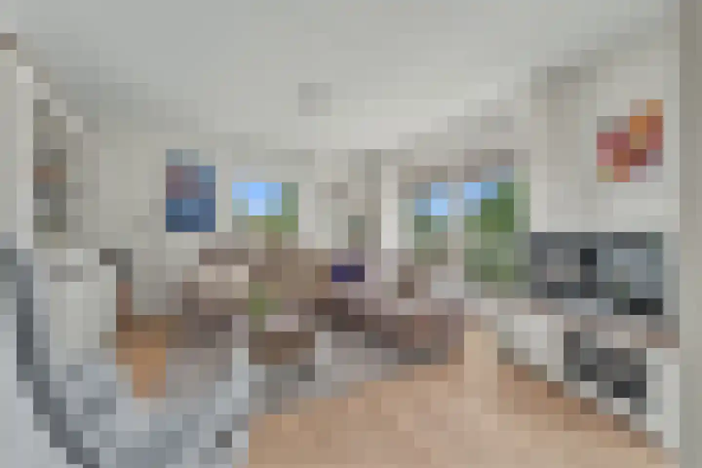Heiligeweg 16 Zwolle thumbnail 11
