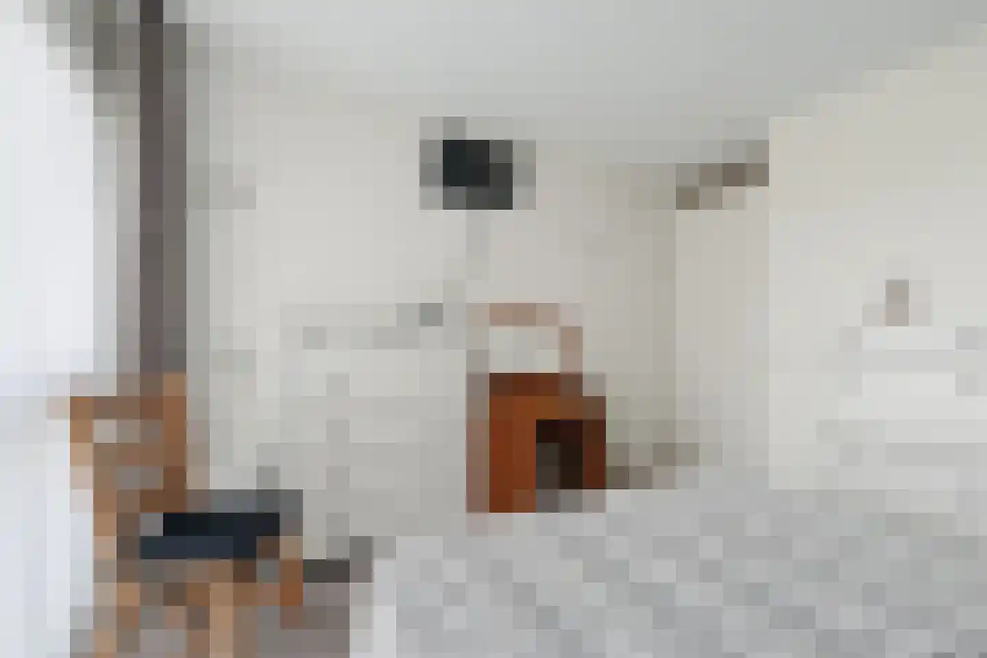 Heiligeweg 16 Zwolle thumbnail 19