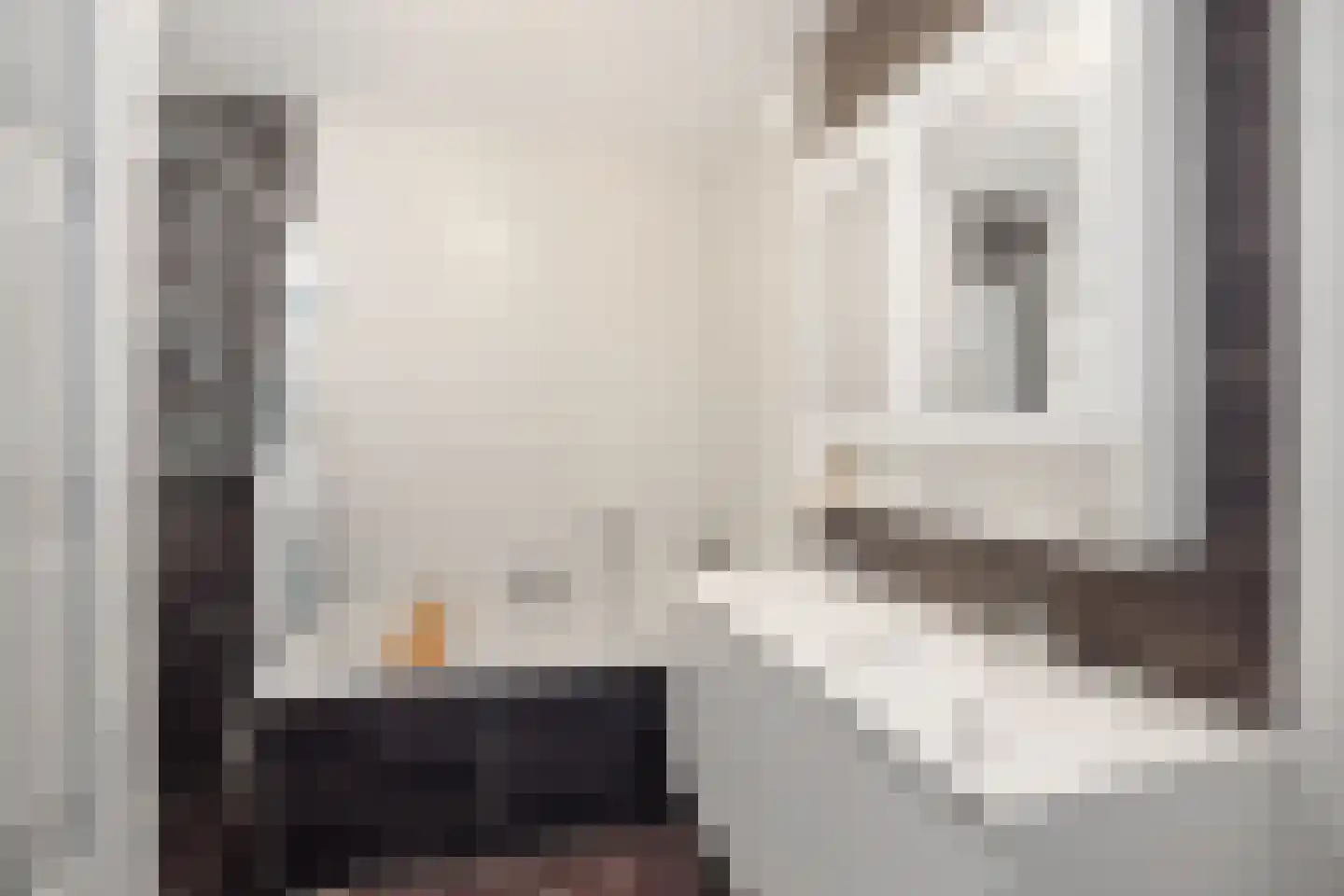 Heiligeweg 16 Zwolle thumbnail 21