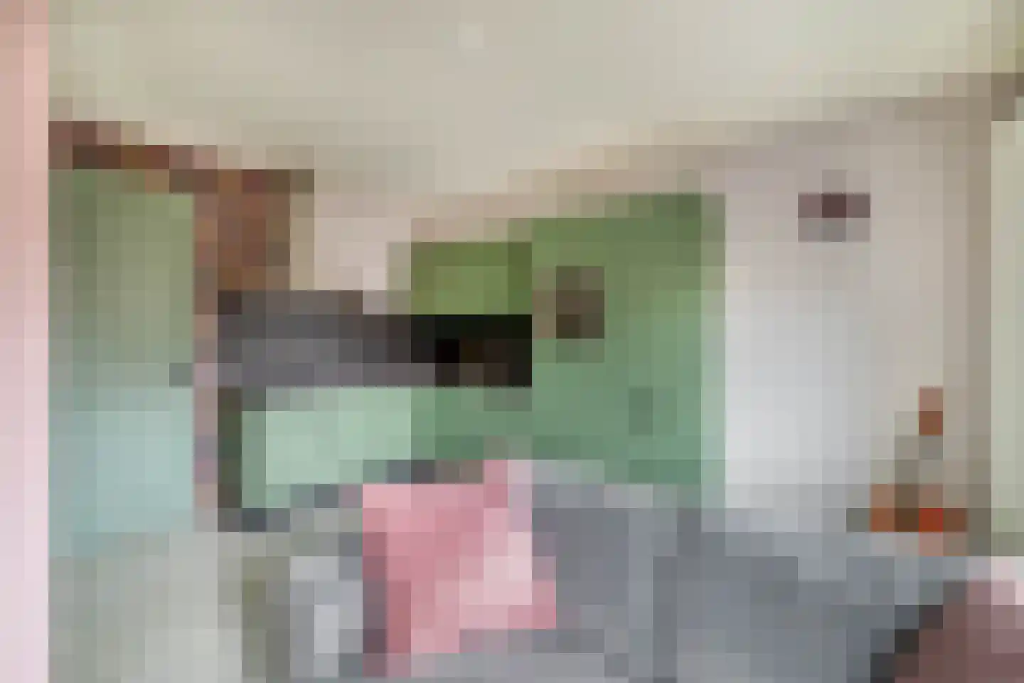 Heiligeweg 19 C Krommenie thumbnail 11