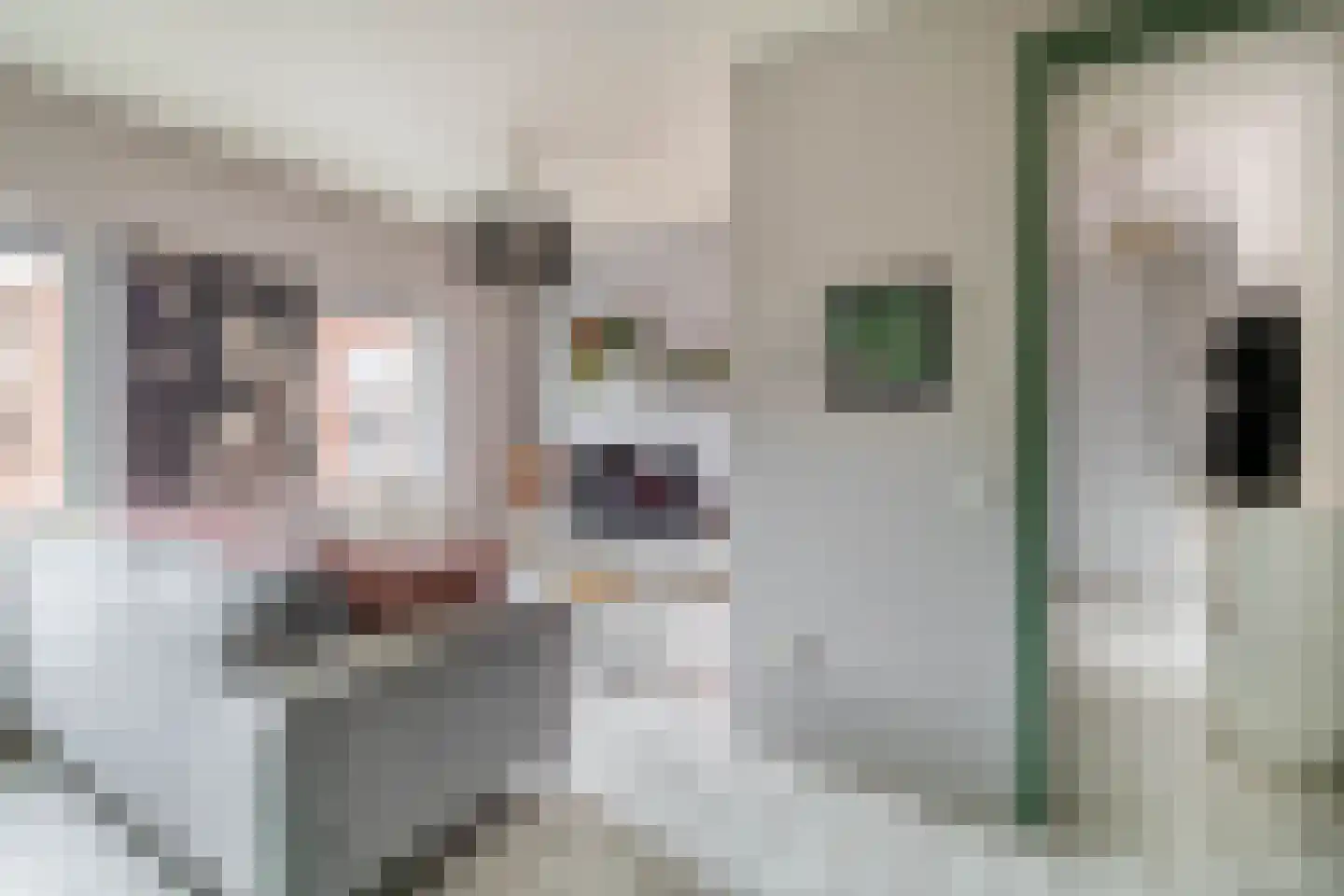 Heiligeweg 19 C Krommenie thumbnail 9