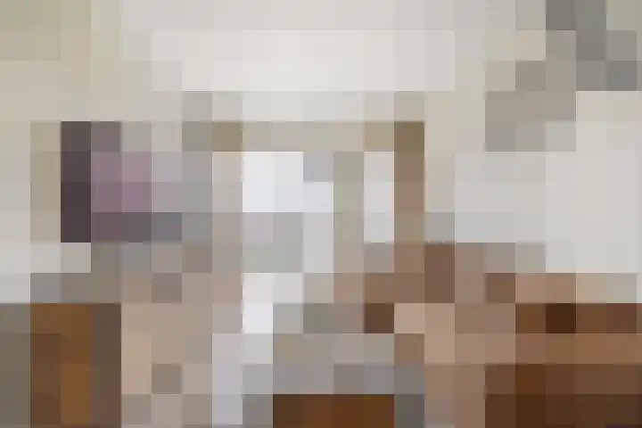 Heiligeweg 19 G Krommenie thumbnail 13