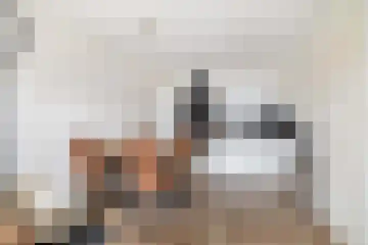 Heiligeweg 19 G Krommenie thumbnail 16