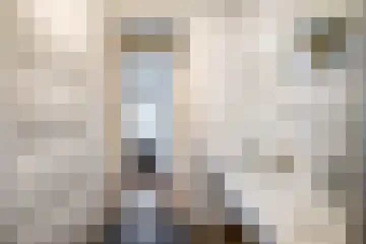 Heiligeweg 19 G Krommenie thumbnail 27