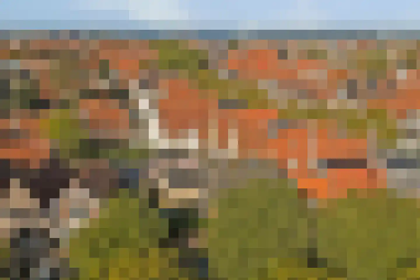 Heiligeweg 29 Harlingen thumbnail 49
