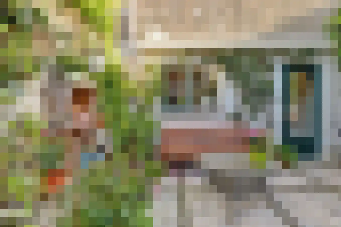 Heiligeweg 29 Harlingen thumbnail 8