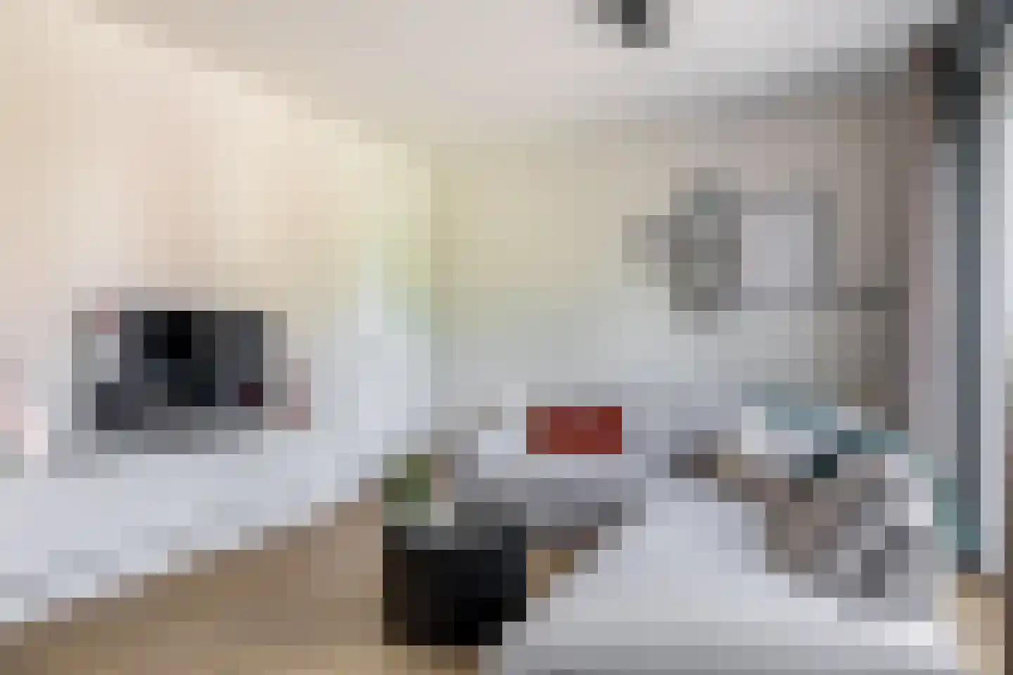 Heiligeweg 3 C Krommenie thumbnail 11