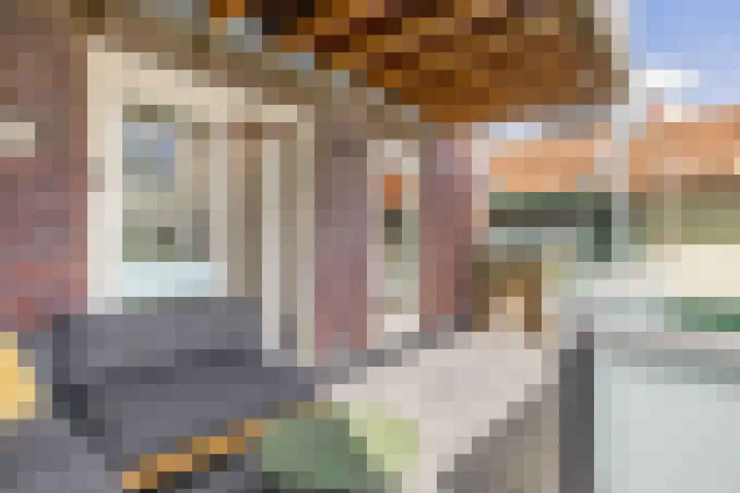 Heiligeweg 3 C Krommenie thumbnail 20