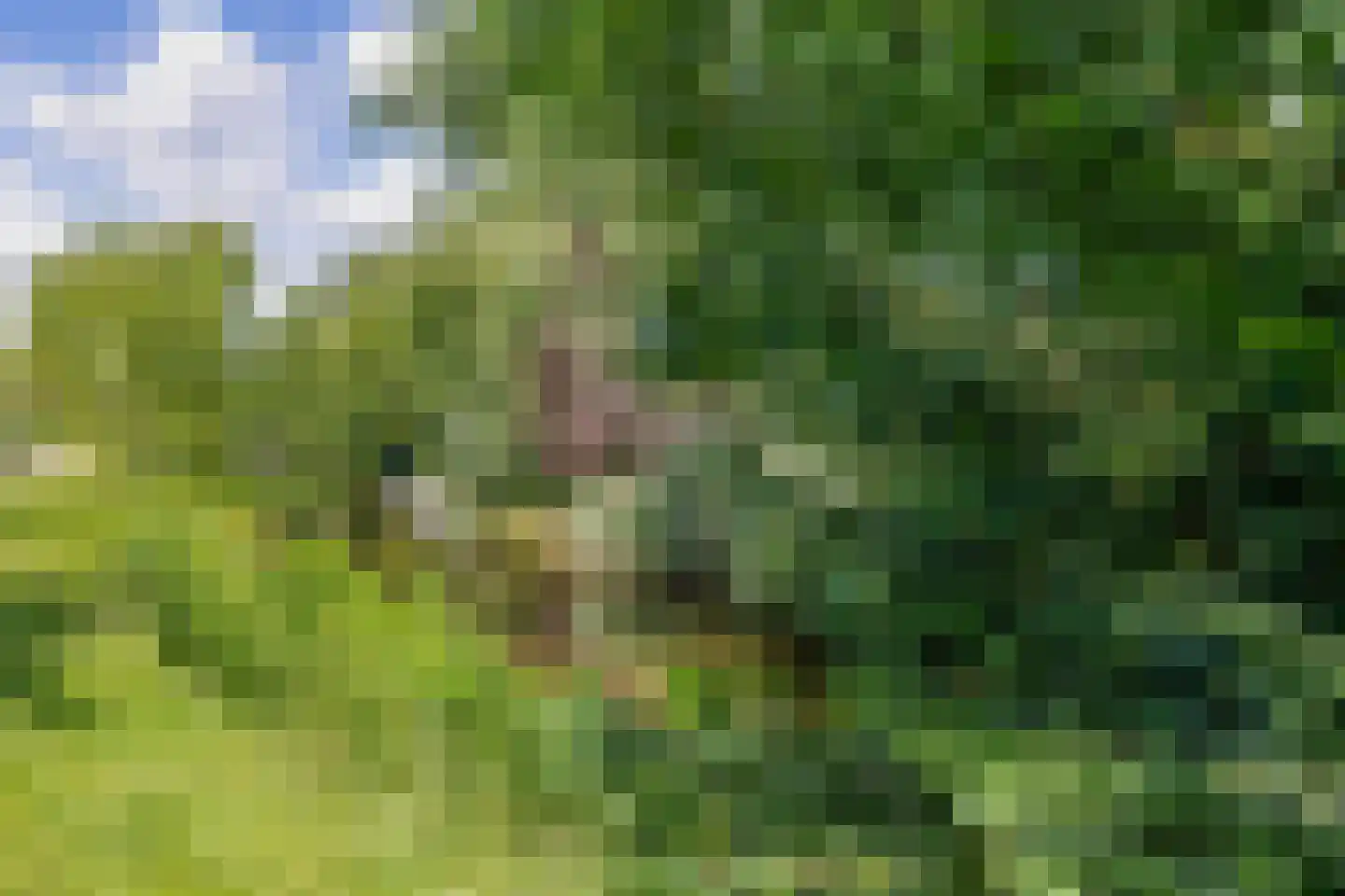 Heiligeweg 3 C Krommenie thumbnail 31