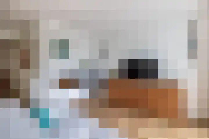 Heiligeweg 3 E Krommenie thumbnail 14