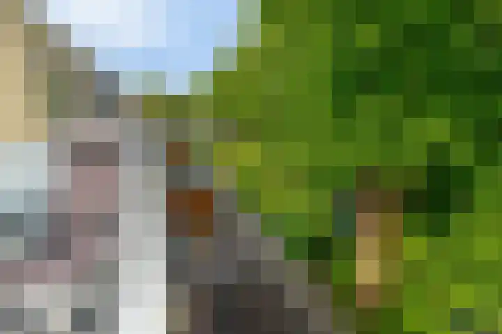 Heiligeweg 3 E Krommenie thumbnail 23