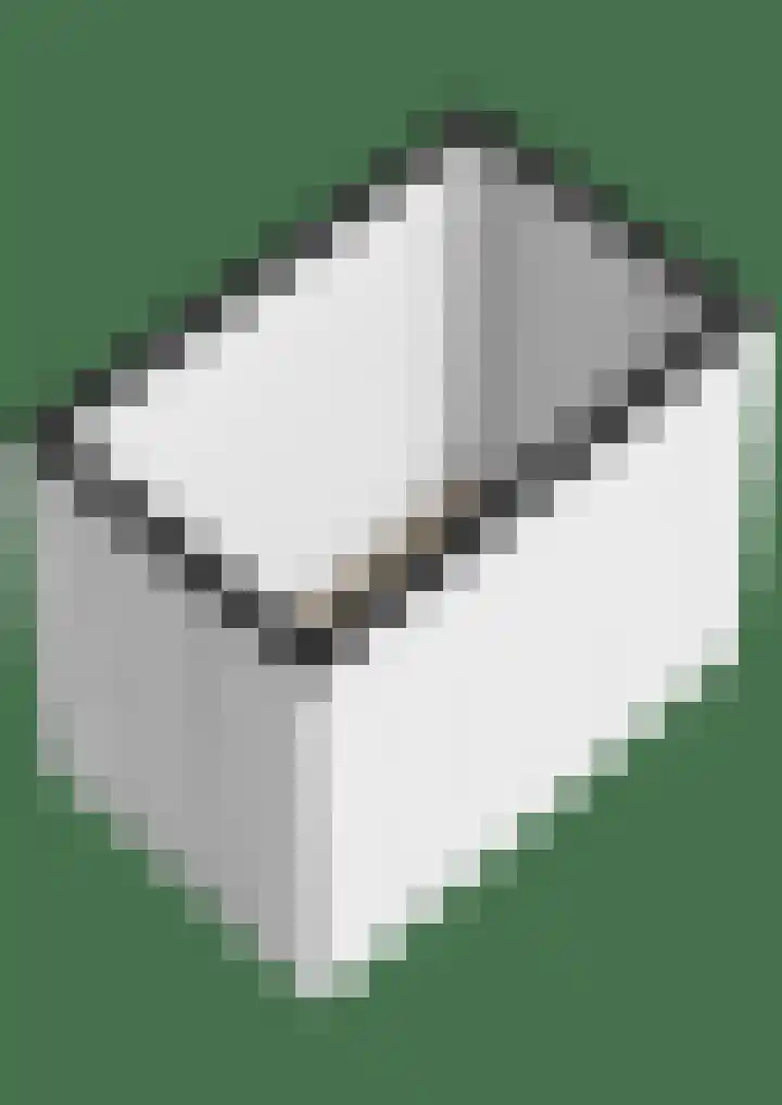 Heiligeweg 3 E Krommenie thumbnail 37