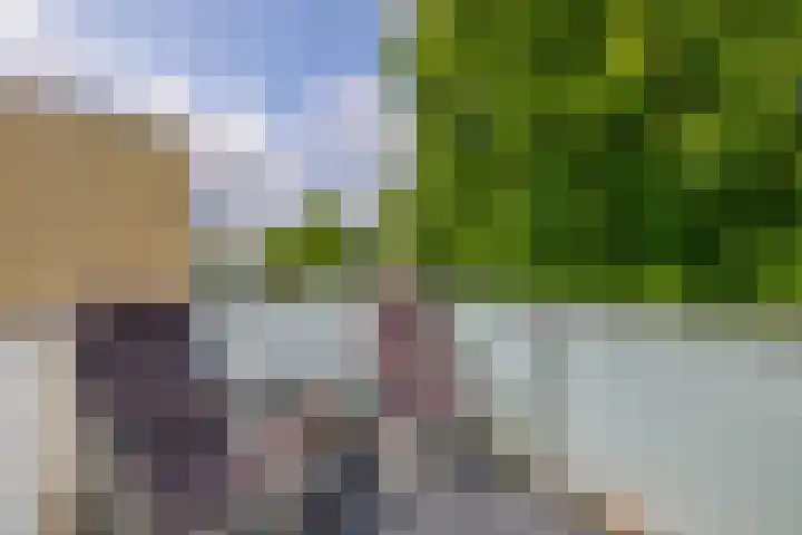 Heiligeweg 3 E Krommenie thumbnail 4