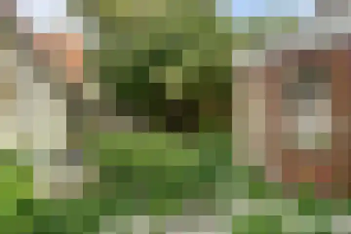 Heiligeweg 3 Harlingen thumbnail 25