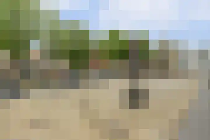 Heiligeweg 3 Harlingen thumbnail 33