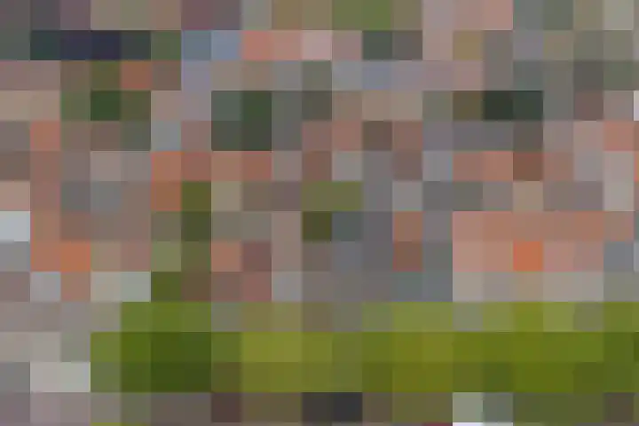 Heiligeweg 3 Harlingen thumbnail 35