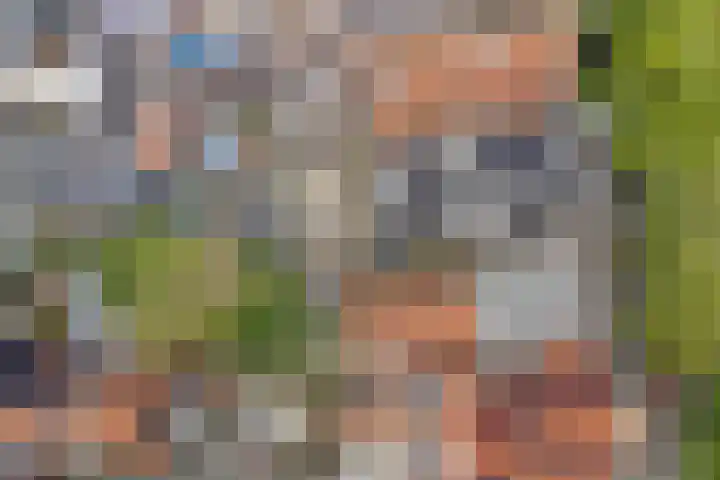Heiligeweg 3 Harlingen thumbnail 37