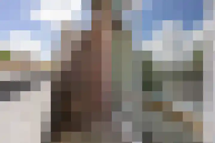 Heiligeweg 45 D Krommenie thumbnail 17