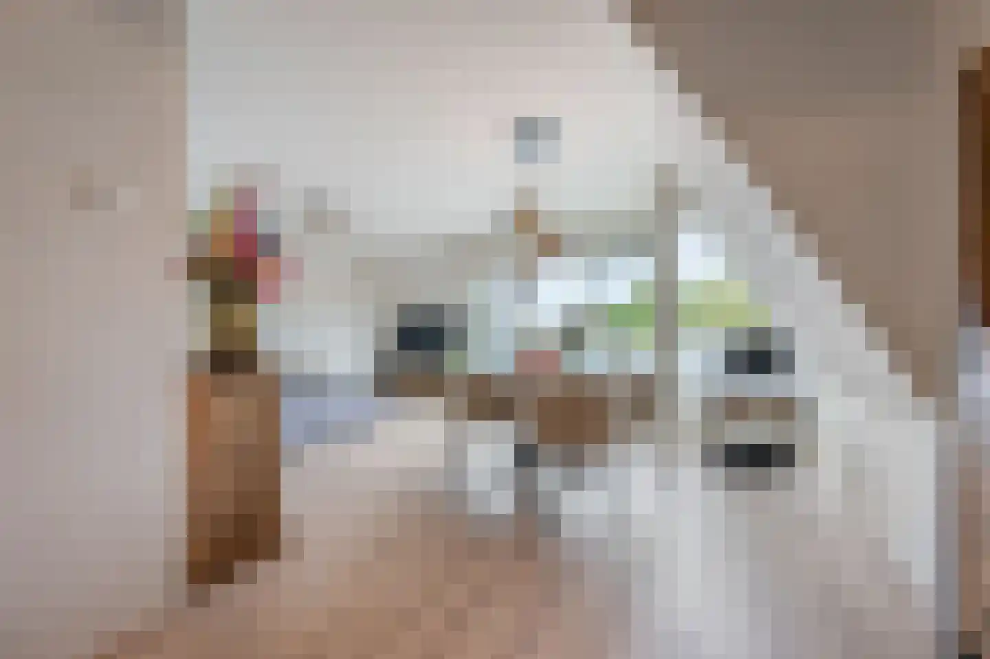 Heiligeweg 47 A Krommenie thumbnail 11