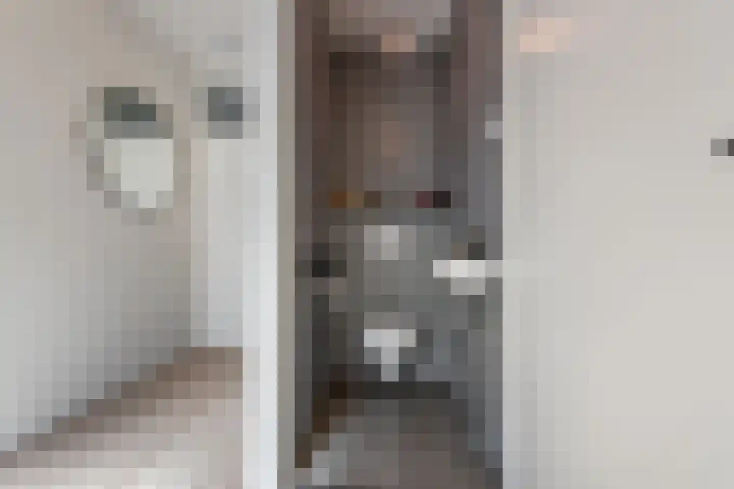 Heiligeweg 47 A Krommenie thumbnail 19