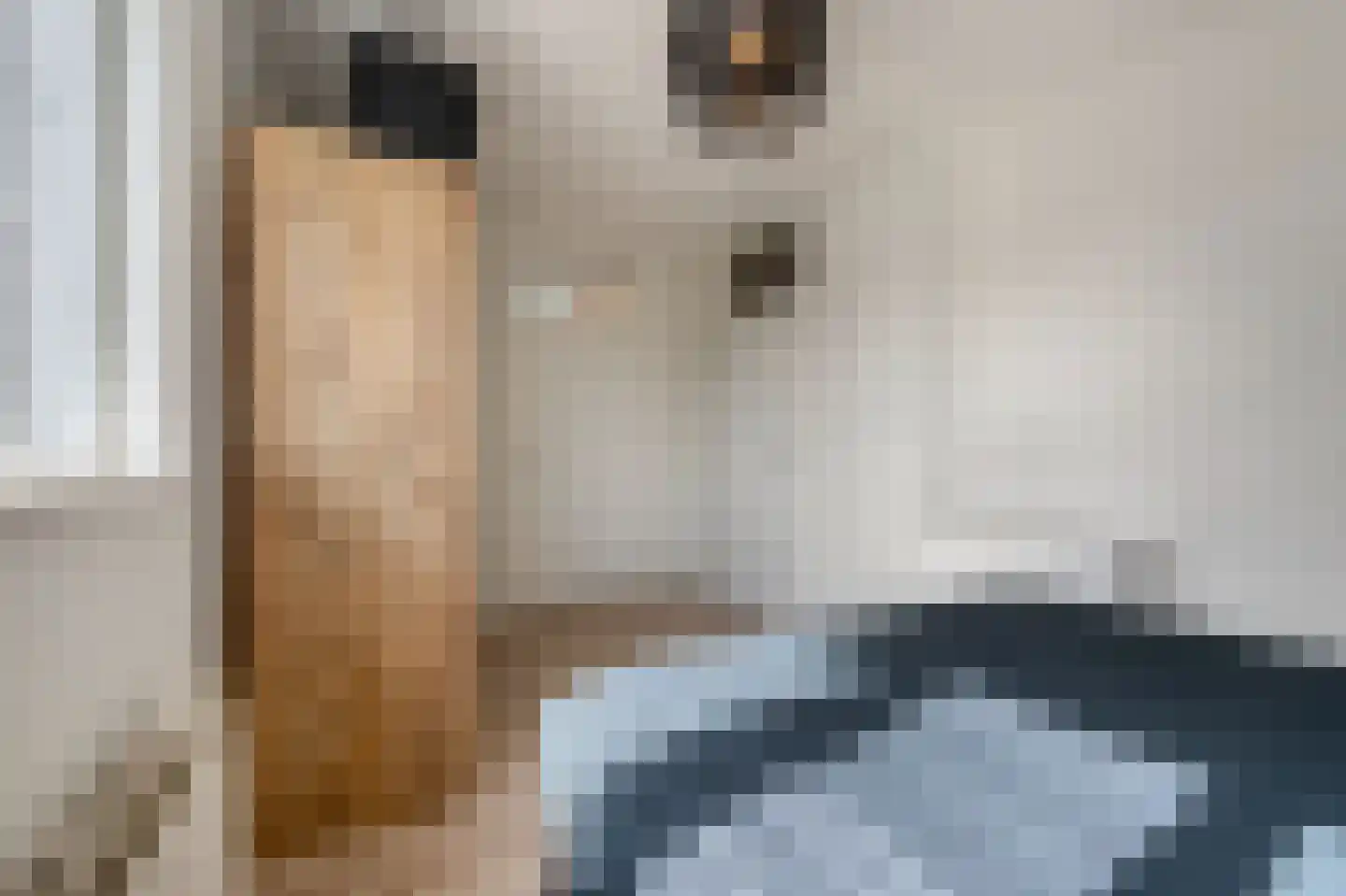 Heiligeweg 47 A Krommenie thumbnail 21
