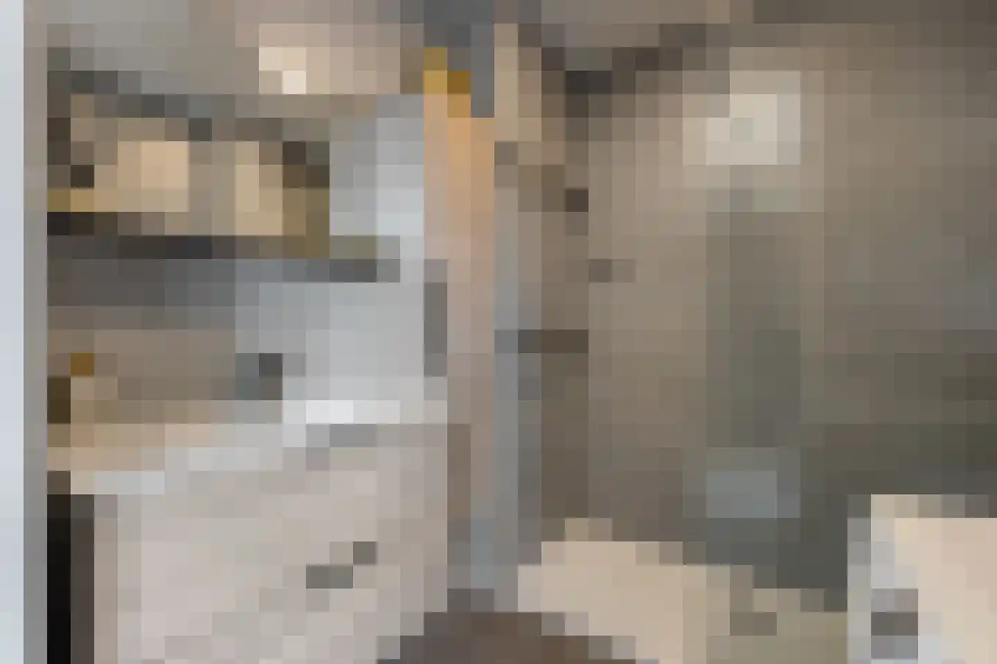 Heiligeweg 47 A Krommenie thumbnail 25