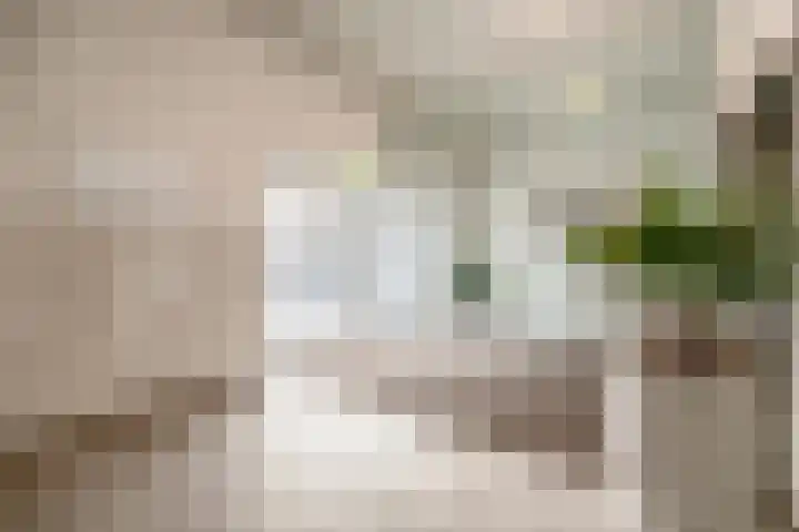 Heiligeweg 48 Krommenie thumbnail 12