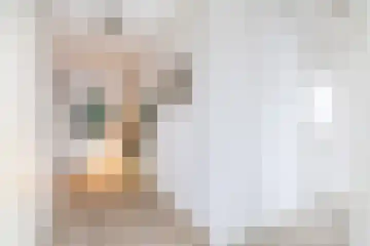 Heiligeweg 48 Krommenie thumbnail 14
