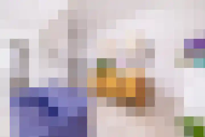 Heiligeweg 48 Krommenie thumbnail 25