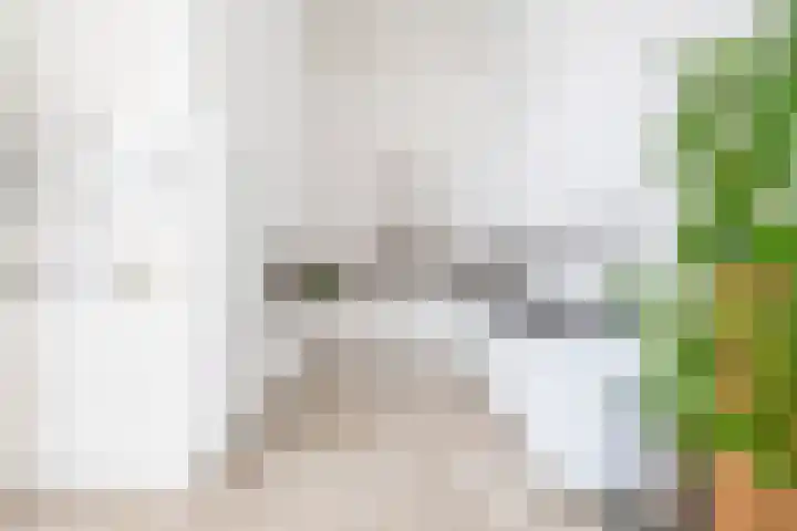Heiligeweg 48 Krommenie thumbnail 28