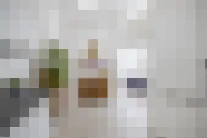 Heiligeweg 48 Krommenie thumbnail 29