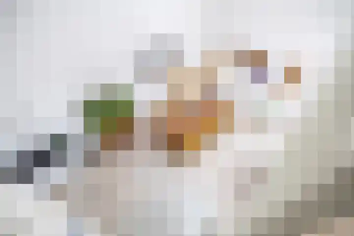 Heiligeweg 48 Krommenie thumbnail 42