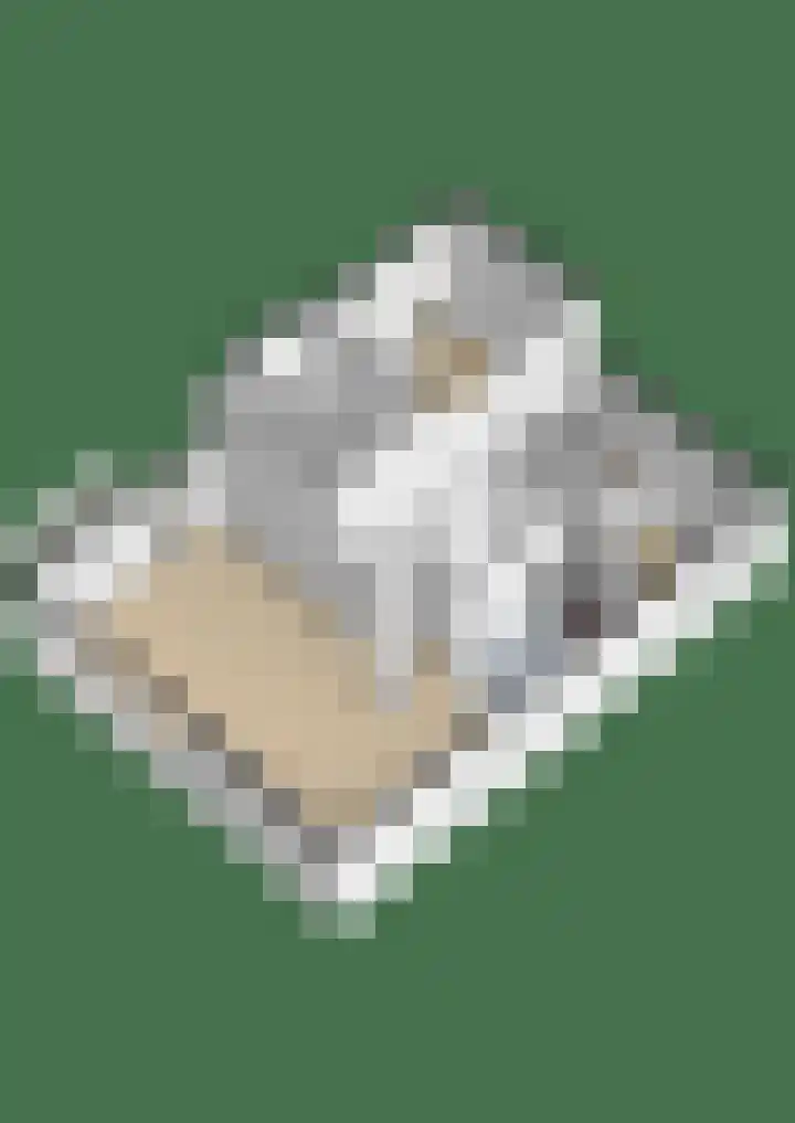 Heiligeweg 48 Krommenie thumbnail 53