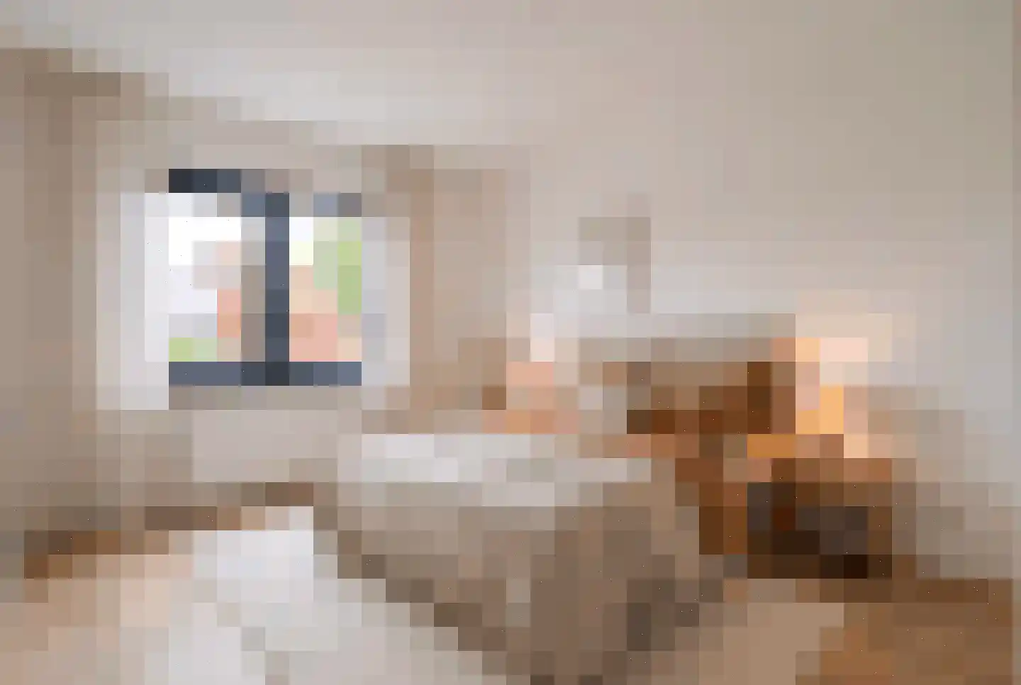 Heiligeweg 5 D Krommenie thumbnail 20