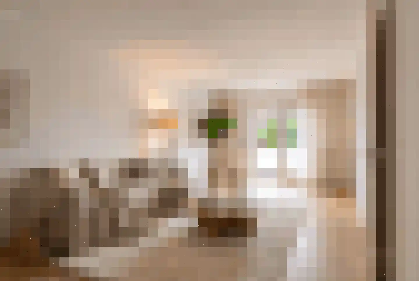 Heiligeweg 5 D Krommenie foto 3
