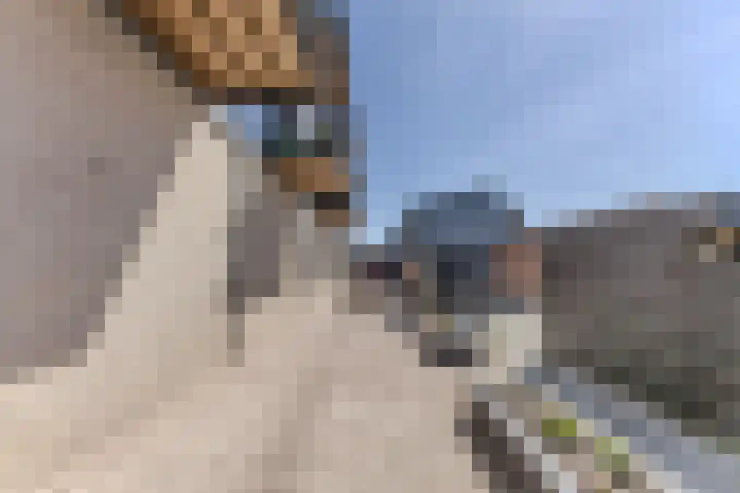 Heiligeweg 93 B Krommenie thumbnail 27