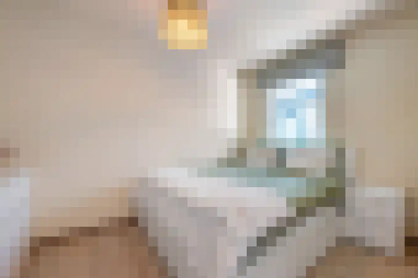 Heiligeweg 93 C Krommenie thumbnail 17