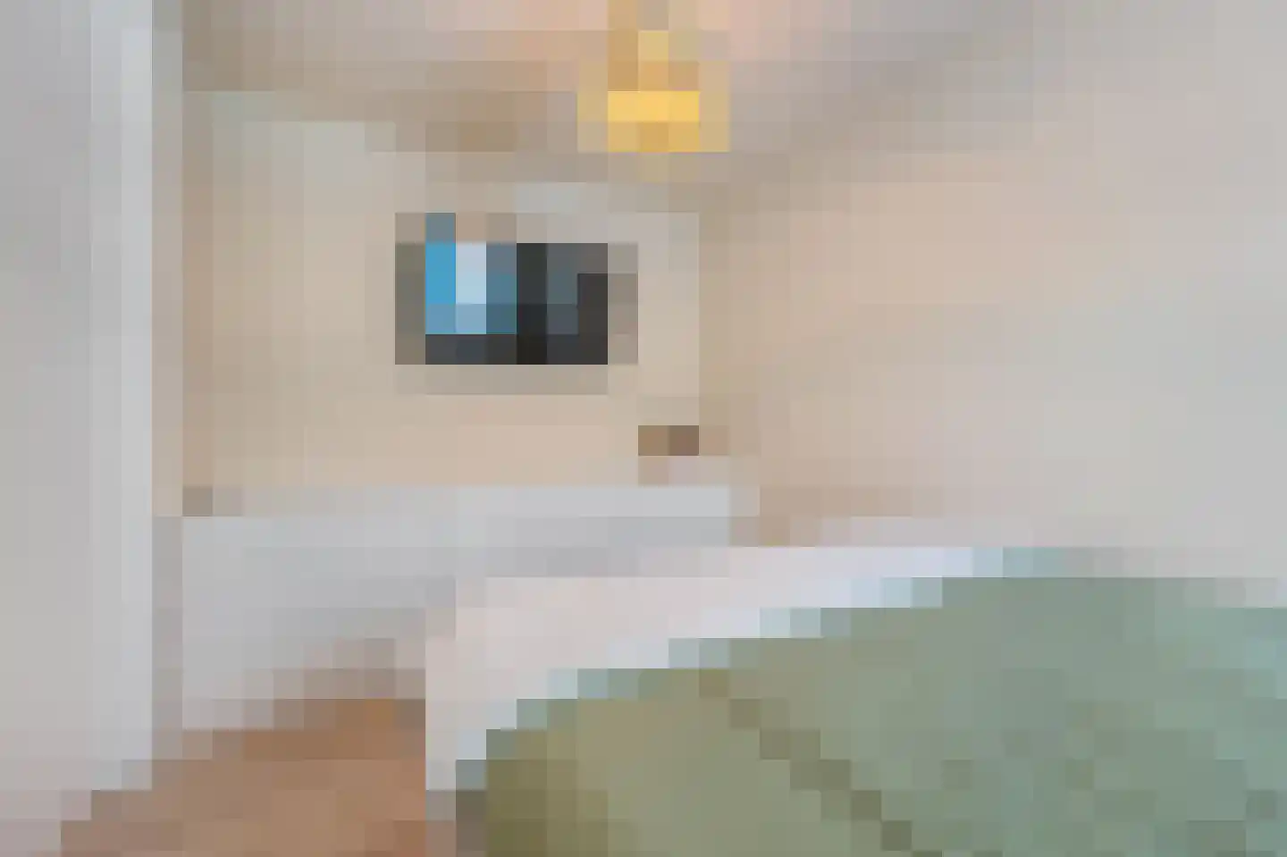 Heiligeweg 93 C Krommenie thumbnail 18
