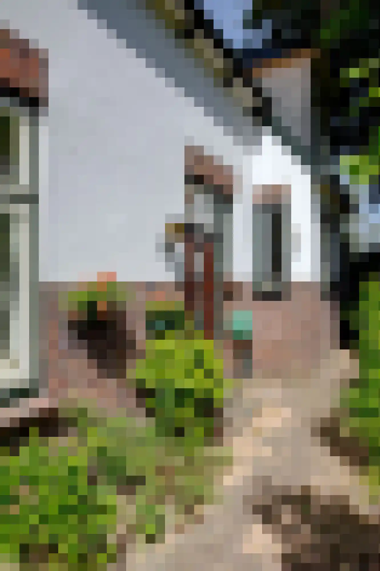 Heiliggravenweg 16 Appingedam thumbnail 8