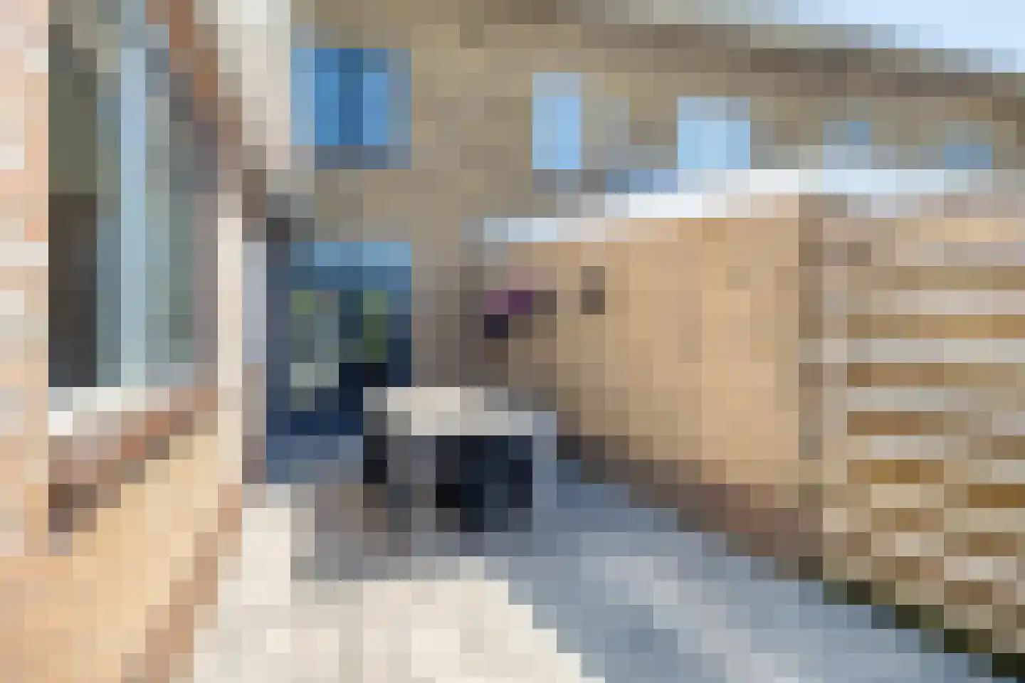 Heiliggravenweg 23 Appingedam thumbnail 41
