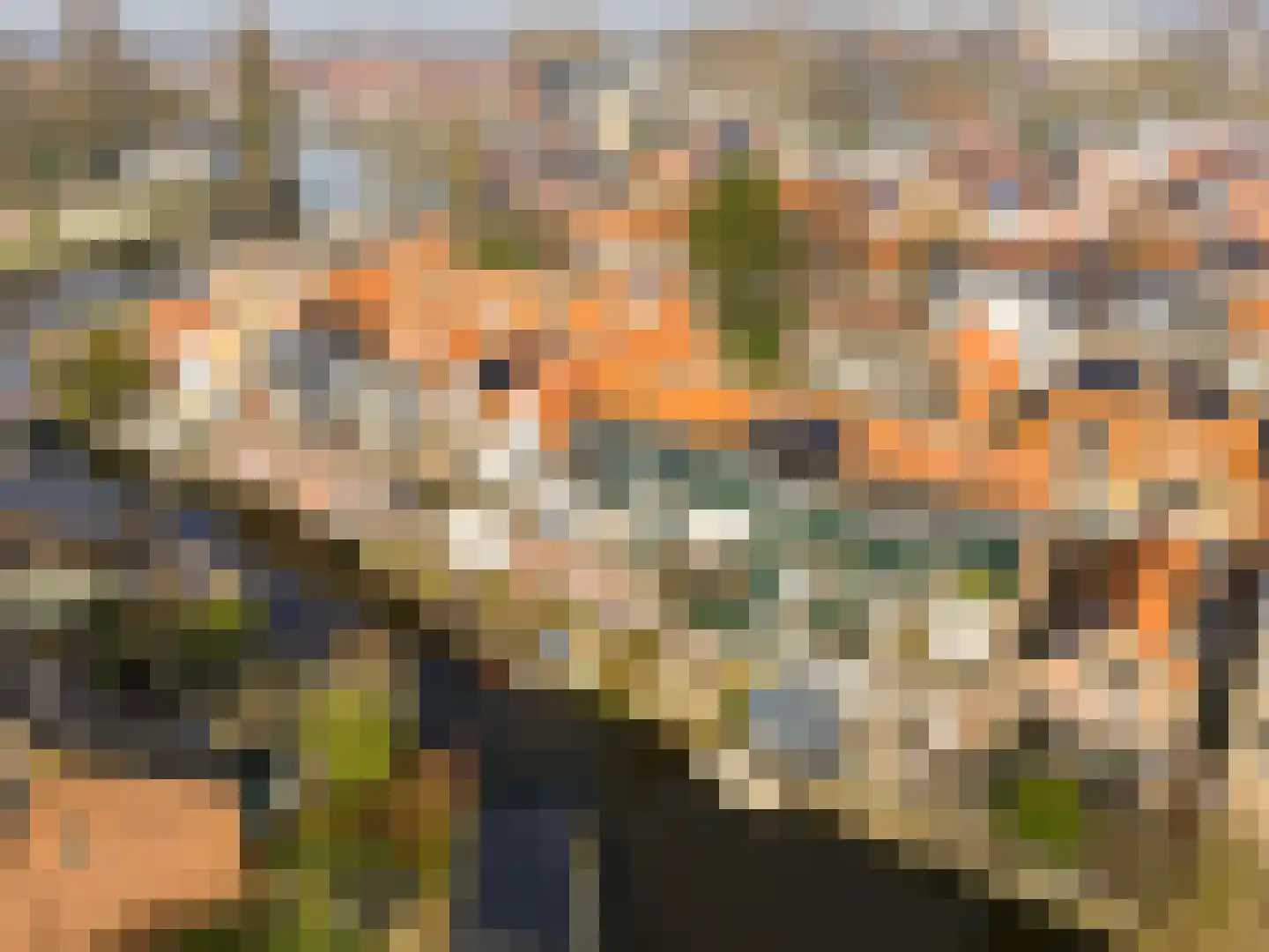 Heiligland 24 Alkmaar thumbnail 33