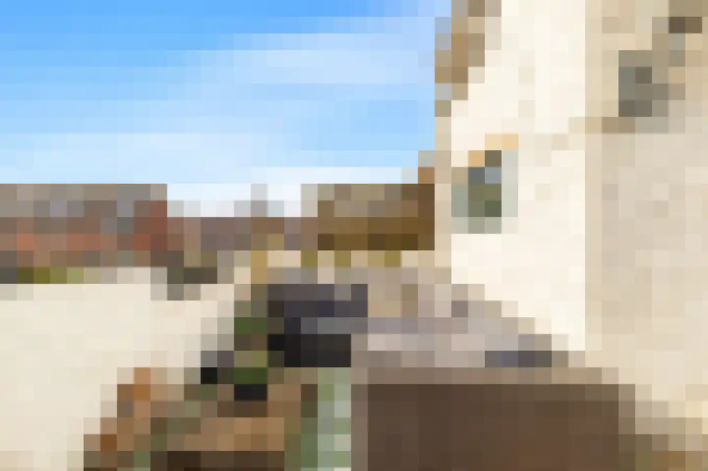 Heiligland 24 Alkmaar thumbnail 4