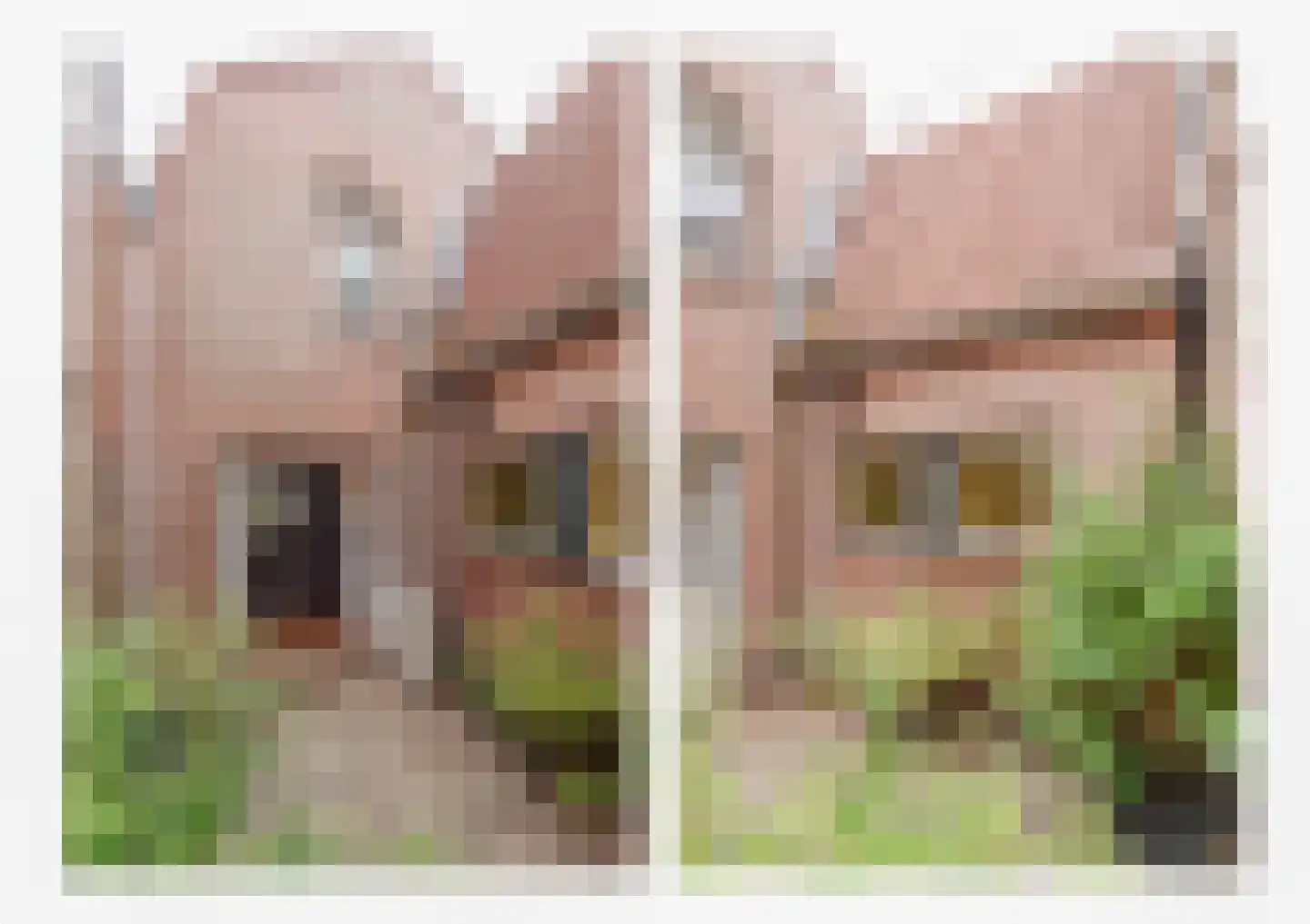 Heiligland 43 Alkmaar thumbnail 19