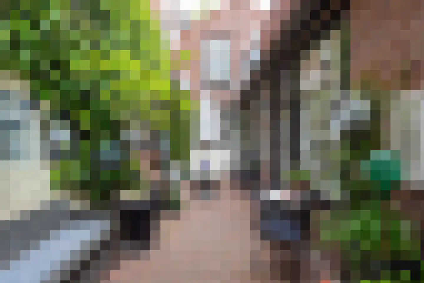 Heiligland 43 Alkmaar thumbnail 46