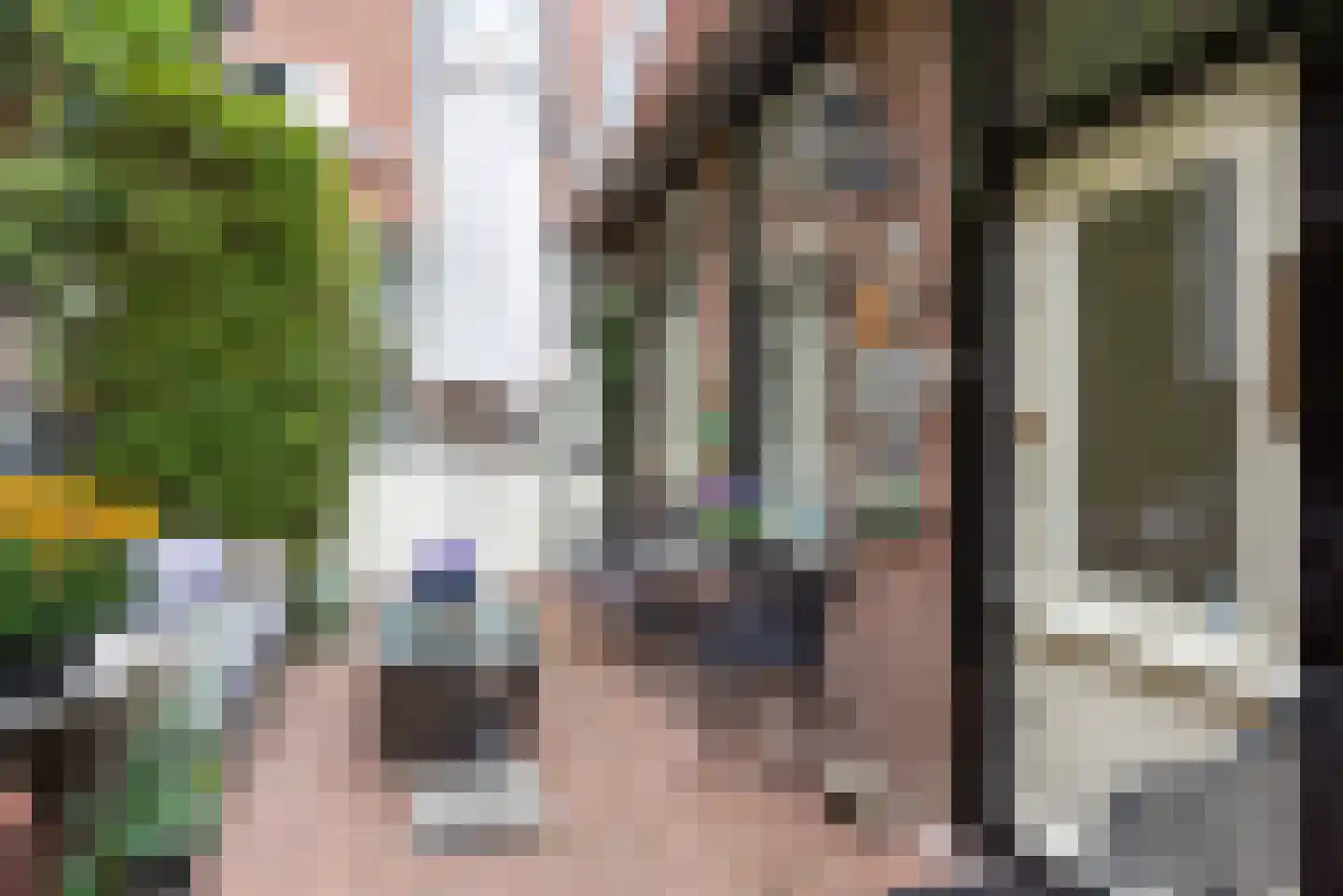 Heiligland 43 Alkmaar thumbnail 47