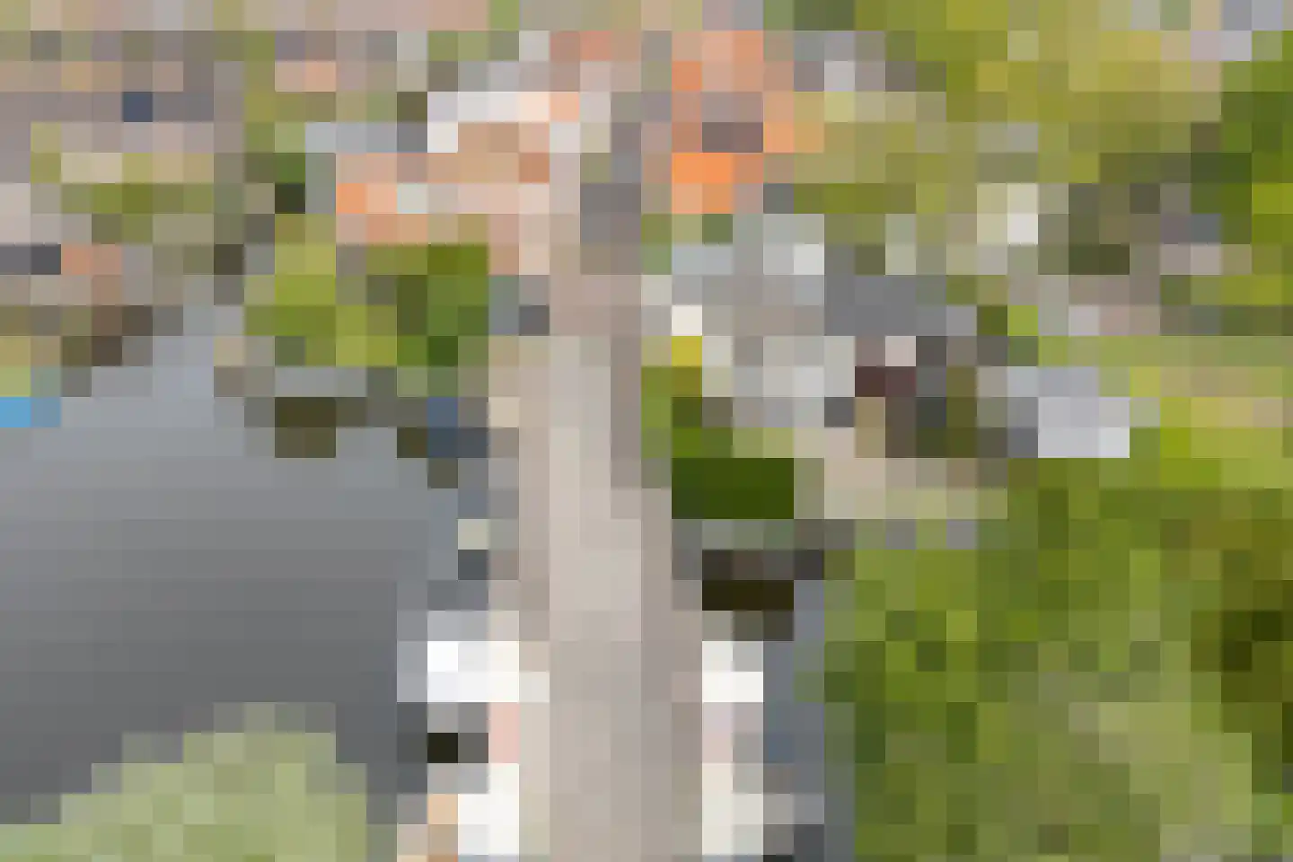 Heiligland 43 Alkmaar thumbnail 6