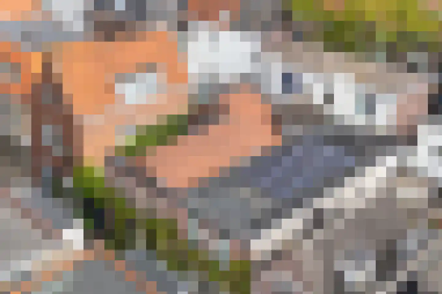 Heiligland 43 Alkmaar thumbnail 8